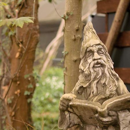 Magical Forest Yurt Sturry Exteriör bild