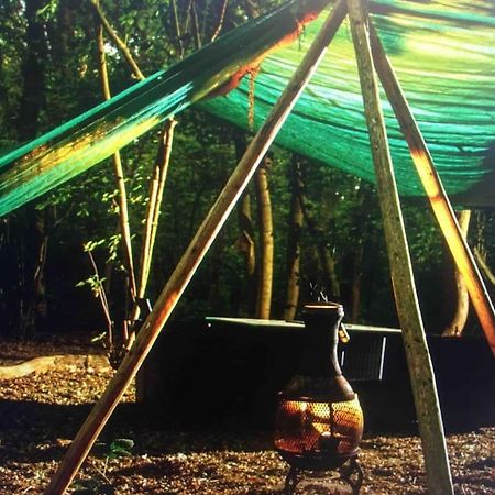 Magical Forest Yurt Sturry Exteriör bild