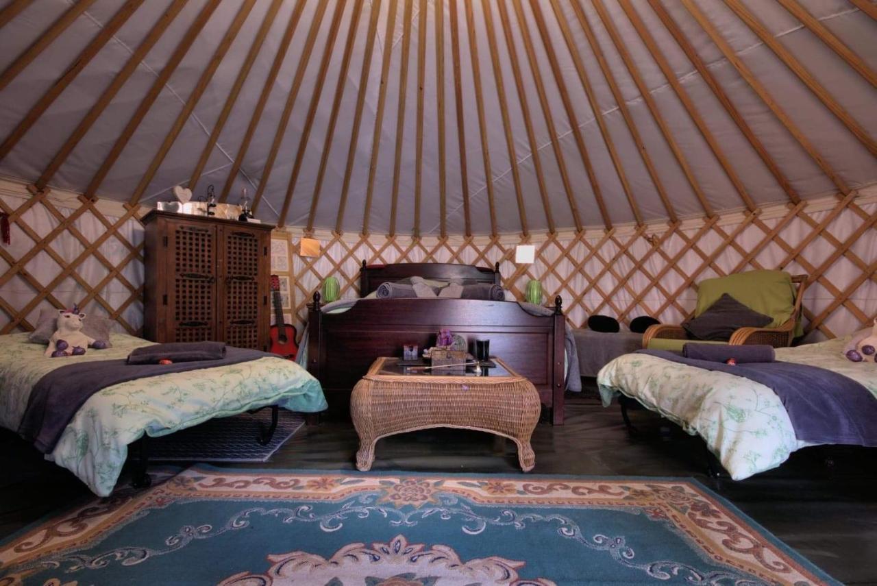 Magical Forest Yurt Sturry Exteriör bild