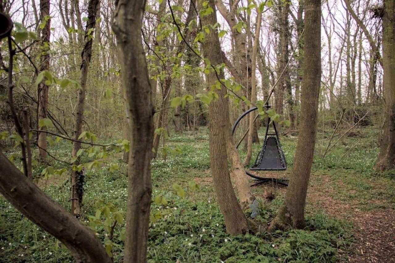 Magical Forest Yurt Sturry Exteriör bild
