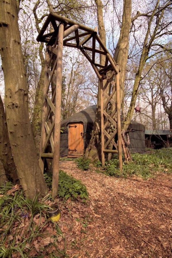 Magical Forest Yurt Sturry Exteriör bild