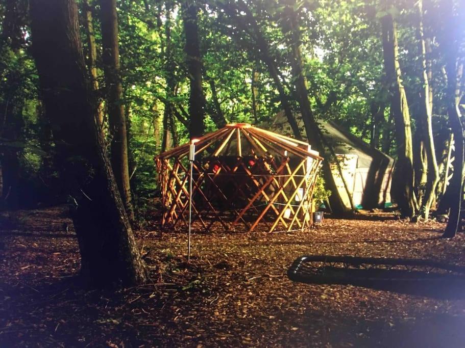 Magical Forest Yurt Sturry Exteriör bild