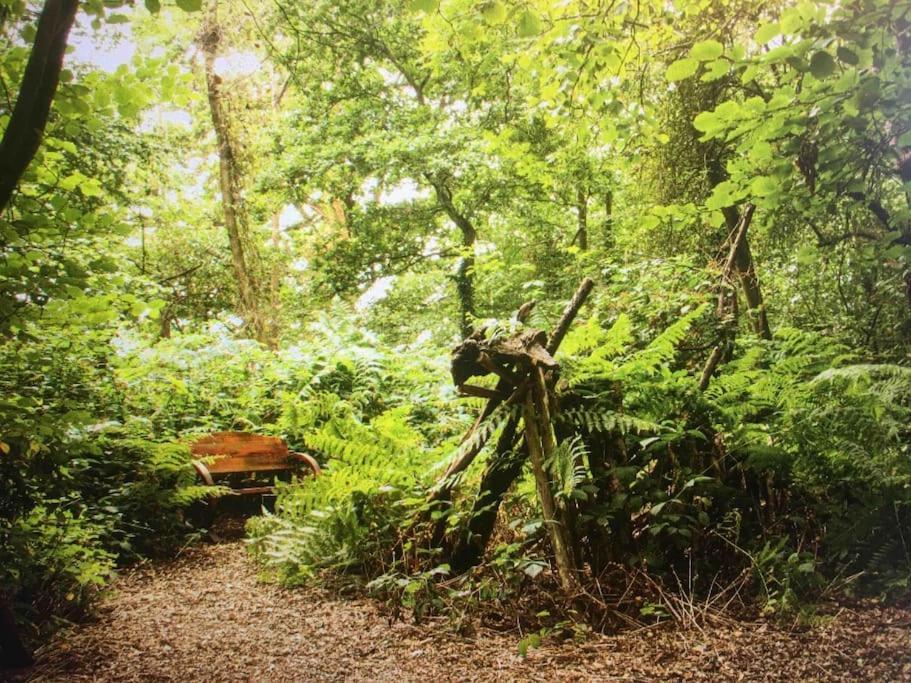 Magical Forest Yurt Sturry Exteriör bild
