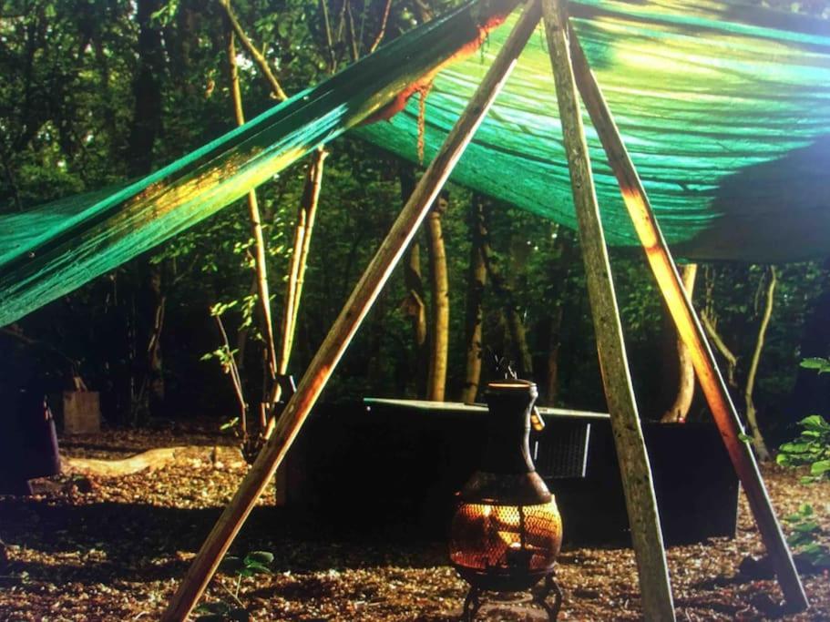 Magical Forest Yurt Sturry Exteriör bild