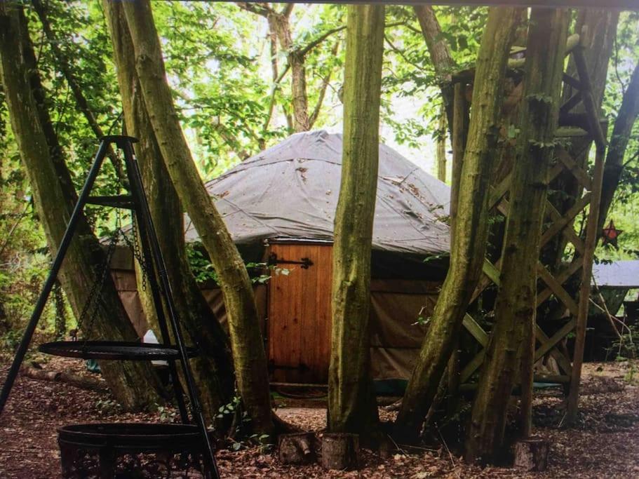 Magical Forest Yurt Sturry Exteriör bild