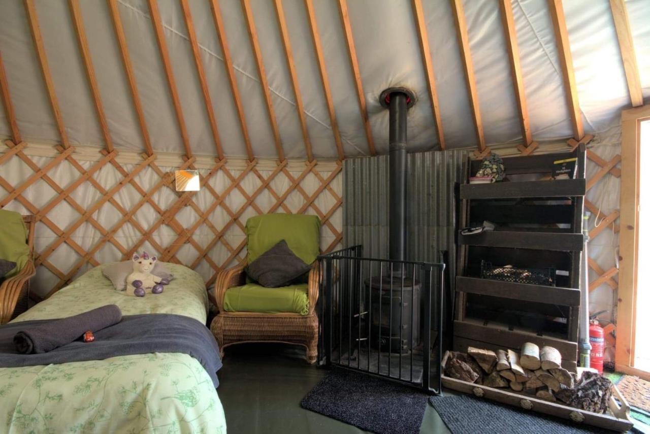 Magical Forest Yurt Sturry Exteriör bild
