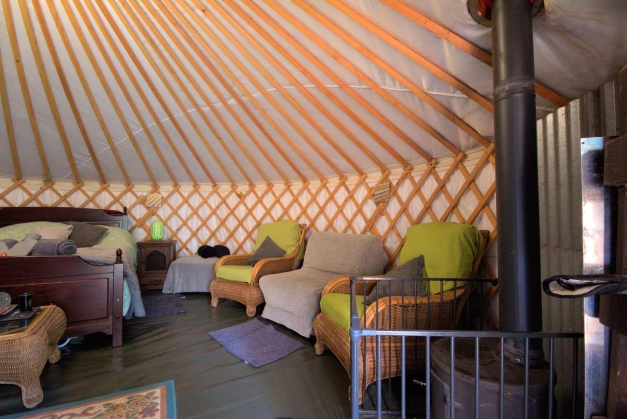 Magical Forest Yurt Sturry Exteriör bild