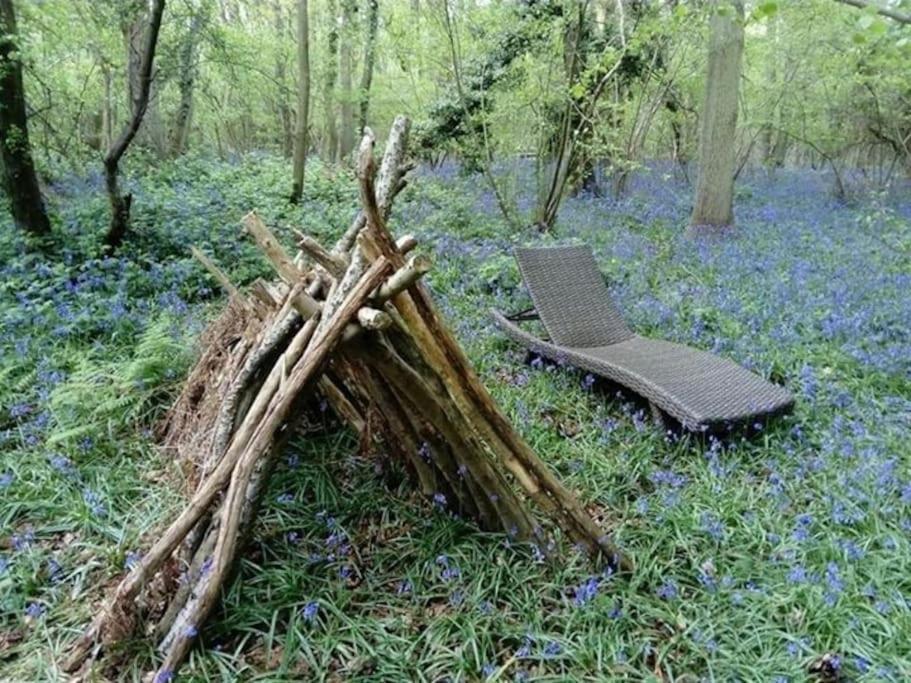 Magical Forest Yurt Sturry Exteriör bild