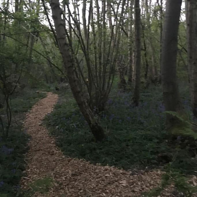 Magical Forest Yurt Sturry Exteriör bild
