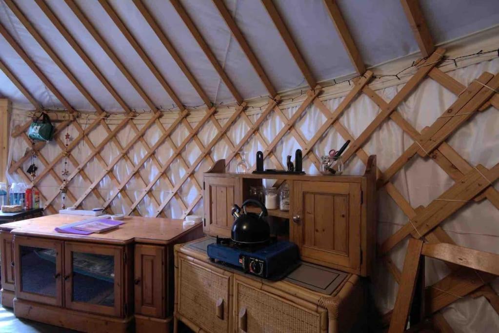 Magical Forest Yurt Sturry Exteriör bild