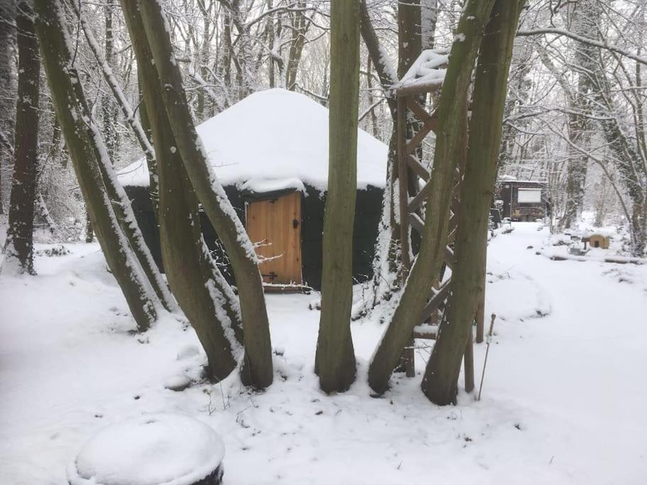 Magical Forest Yurt Sturry Exteriör bild