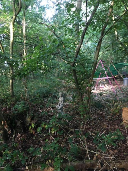 Magical Forest Yurt Sturry Exteriör bild