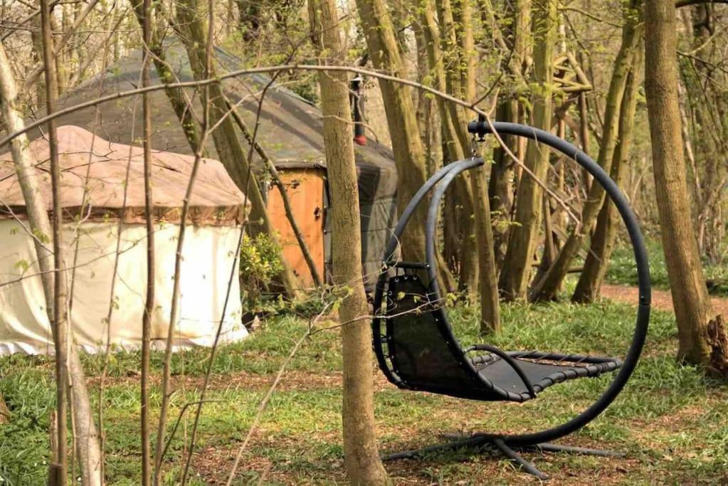 Magical Forest Yurt Sturry Exteriör bild