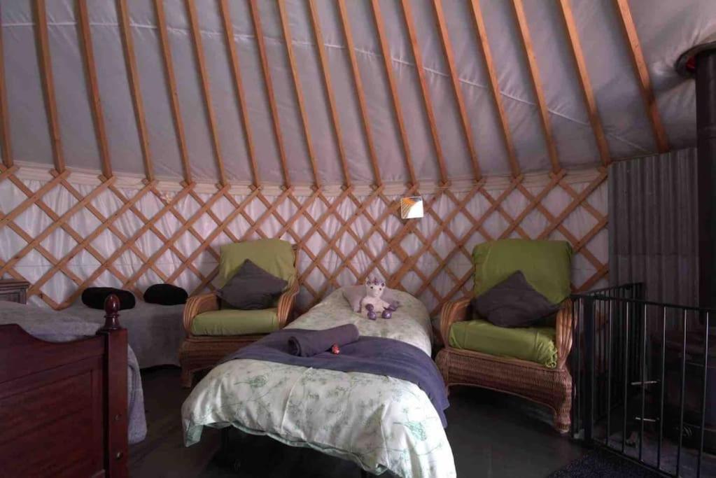 Magical Forest Yurt Sturry Exteriör bild