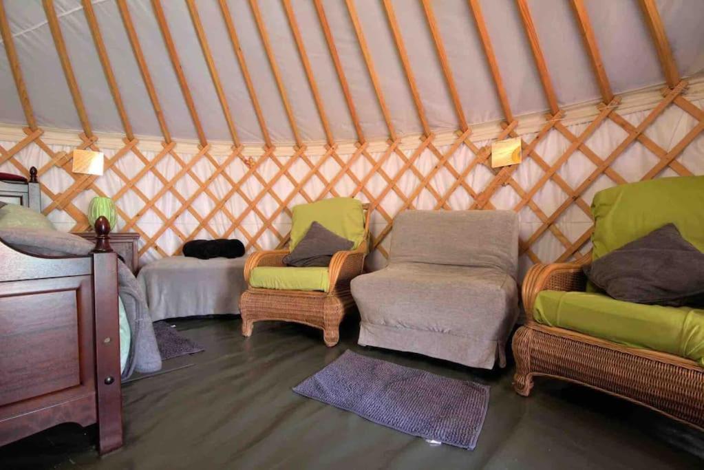 Magical Forest Yurt Sturry Exteriör bild