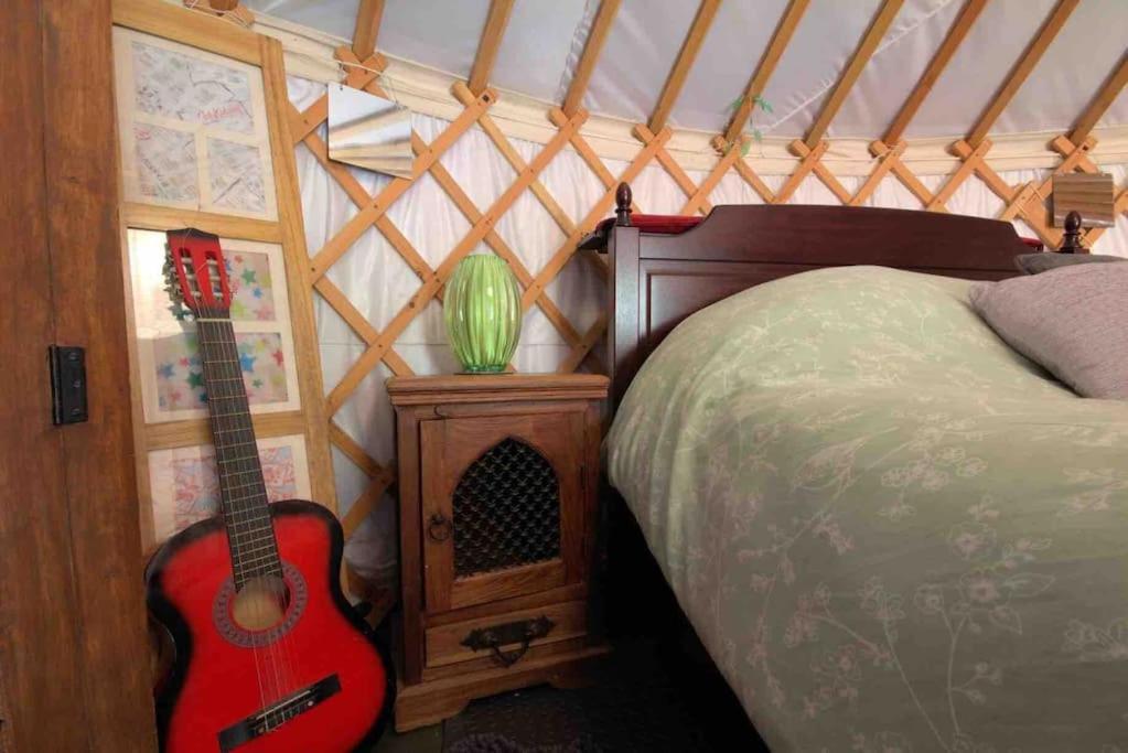 Magical Forest Yurt Sturry Exteriör bild